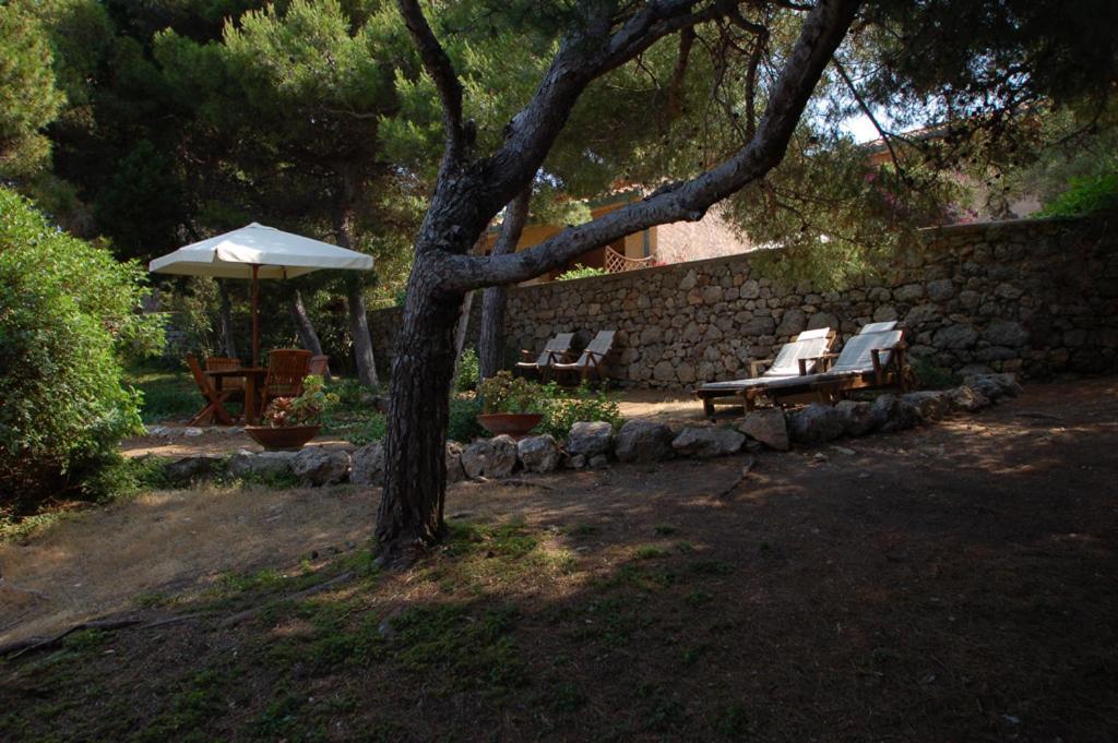 Bed and Breakfast Animosque Giannutri Exterior foto